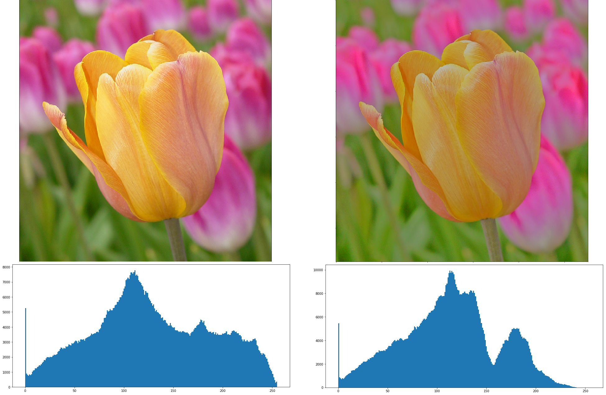 Bilateral Filtering Example